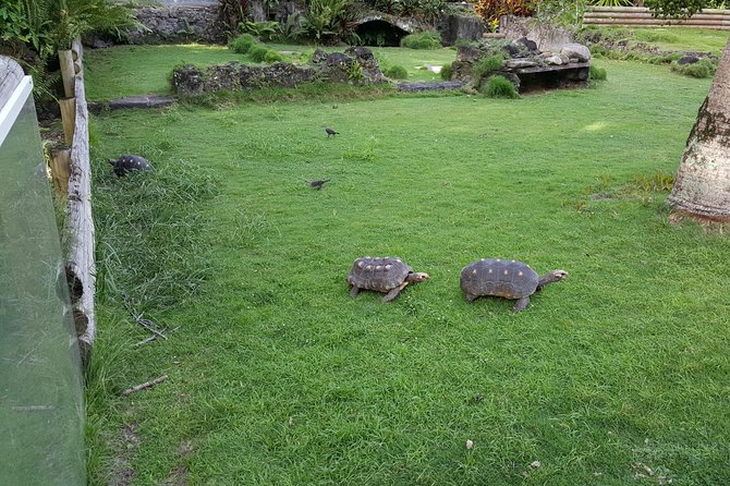 V.I.P Green Escape 2-Zoo De Martinique