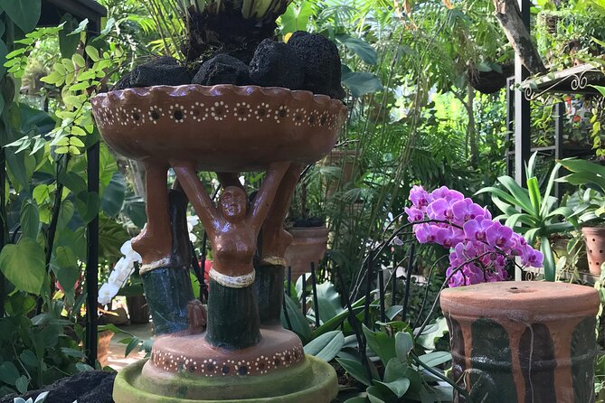 Vallarta Botanical Garden Tour With Universityeducated Naturalist