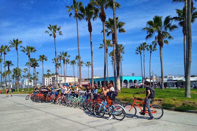 Venice Vibrations Public Bike Tour Experience