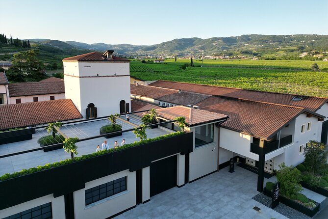 Verona Area: Private Wine Tour in Valpolicella