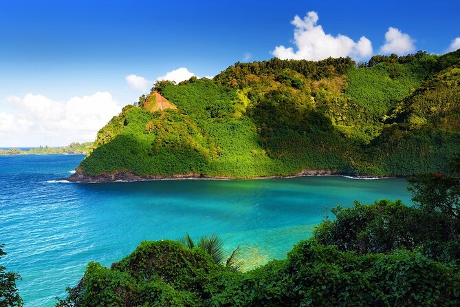 Viator Exclusive: Maui Tropical Rainforest Small Group Tour