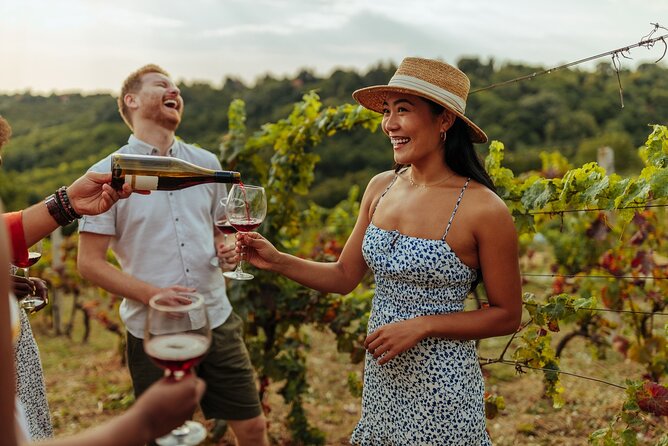 Vineyard Voyage: a Wine Lover’S Tour From Bilbao to Rioja