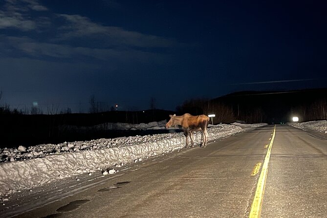 Vip Aurora Adventure From Fairbanks