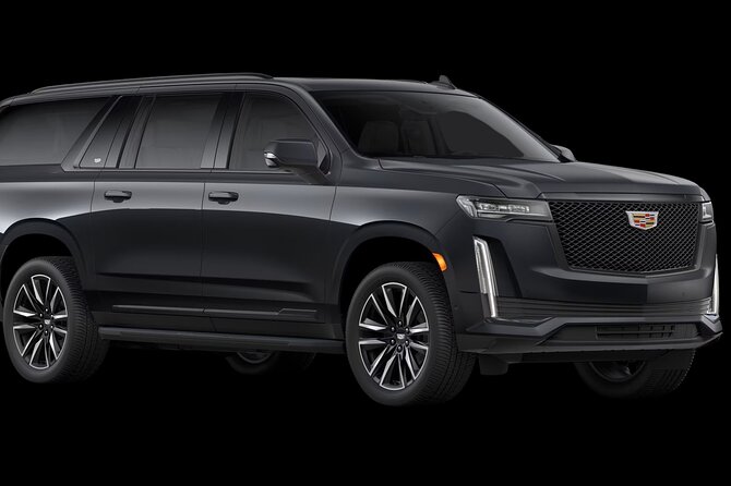 VIP Private Maui OGG Arrival Transfer Review - Service Overview