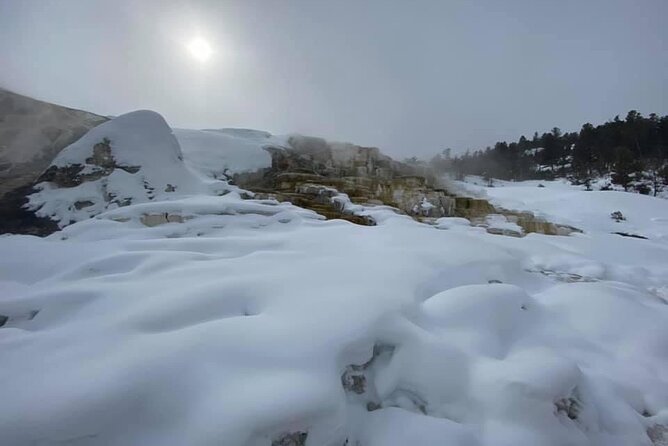 VIP Private North Yellowstone National Park Winter Excursion