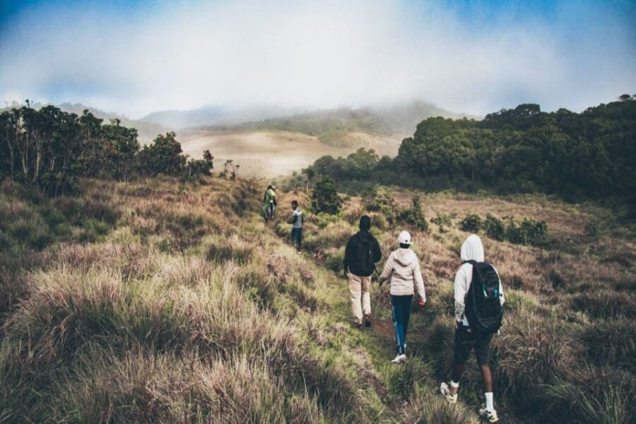 Visit Horton Plains and Nuwara Eliya From Kandy