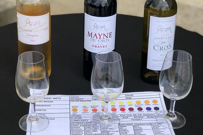 Visit of the Château Du Cros and Introduction to Tasting - Tasting Experience Details