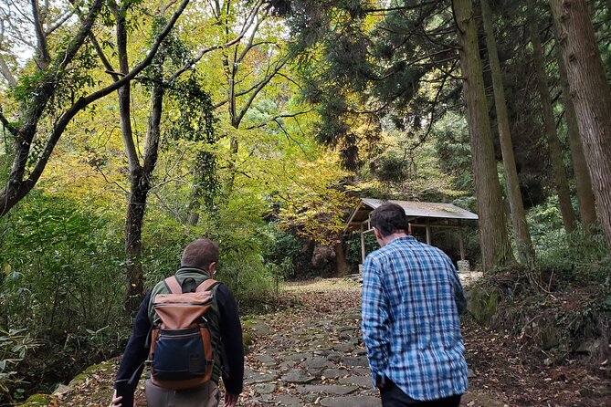 Walking Through the Aso Caldera, Historical Walk Along the Bungo Kaido