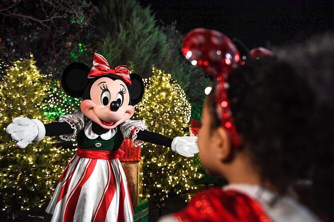 Walt Disney World Special Event Tickets - Event Overview