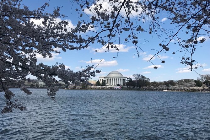 Washington D.C. Cherry Blossom 1-Day Tour From New York - Inclusions and Exclusions