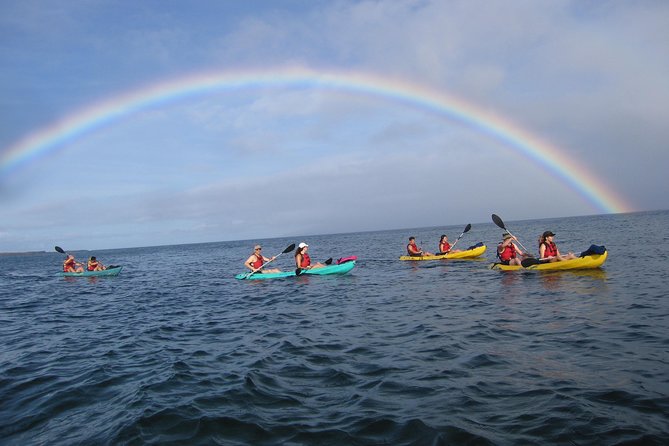 Waterfall Hike and Kayak Snorkel & Paddle From Makena - Tour Overview