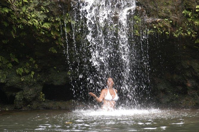 Waterfall & Rainforest Hiking Adventure With Hotel Pickup - Overview of the Guided East Maui Rainforest Hike
