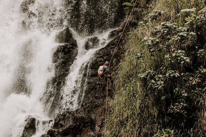 Waterfall Rappelling at Kulaniapia Falls: 120 Foot Drop, 15 Minutes From Hilo