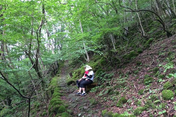 WE LOVE SHINRIN-YOKU Tour (1-Day) - Tour Inclusions