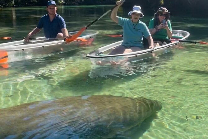 Weeki Wachee Clear Kayak Ecotours Manatee Season – November 14th-March 31st