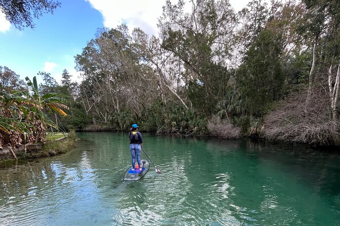 Weeki Wachee Clear Paddle Board Ecotours