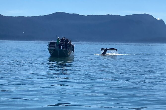 Whale Watching Adventure in Juneau - Overview and Details