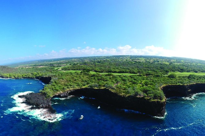 Whale Watching Tour: Whales Guaranteed in Kona Waikoloa - Tour Overview