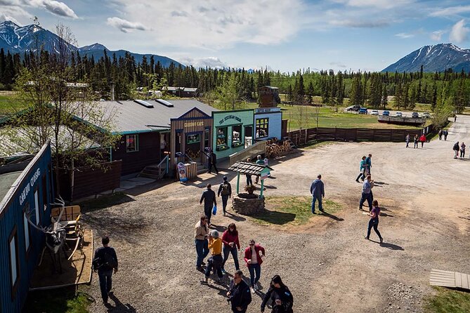 Wild Adventure Yukon Tour Into Canada Including City and Summit - Tour Overview and Highlights