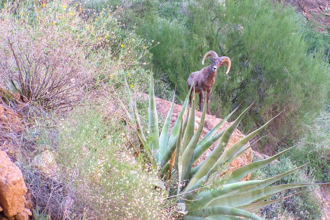 Wilderness Hiking Tours Review: Experience the Adventure