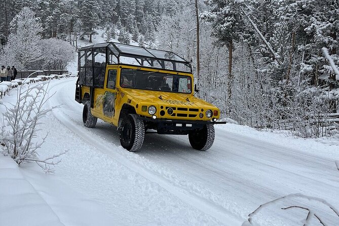 Wildside 4X4s Winter Wonderland Sledding Tour