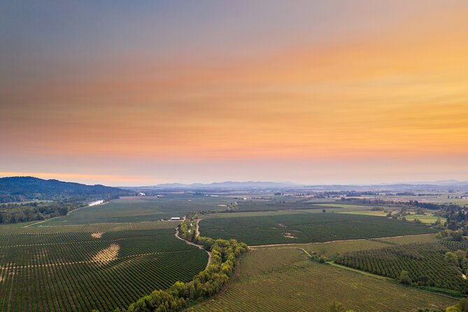 Wine, Stables and Classic Cars Willamette Valley Tour Experience
