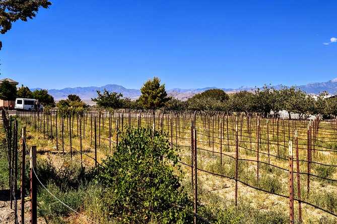 Wine Tasting and Snacks From Las Vegas - Overview of the Wine Tasting Tour