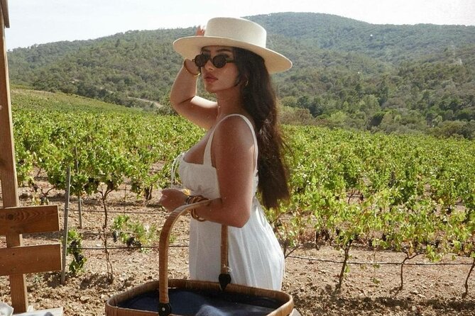 Wine Tasting & Art Tour From Nice