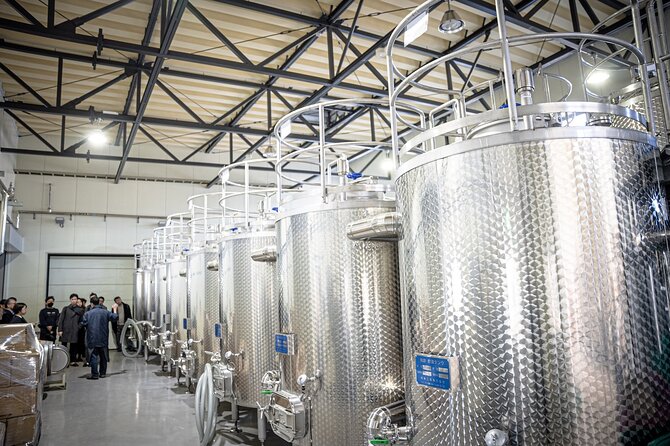 Wine Tasting Experience in Yamaga - Meeting and Pickup Details