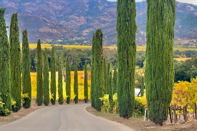 Wine Tour Transportation Services in Napa Valley