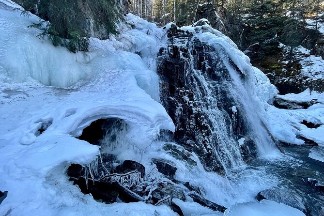Winter Valley and Forest Hike - Group Size and Pricing