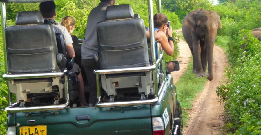 Yala National Park: Leopard Safari Full Day Tour With Lunch