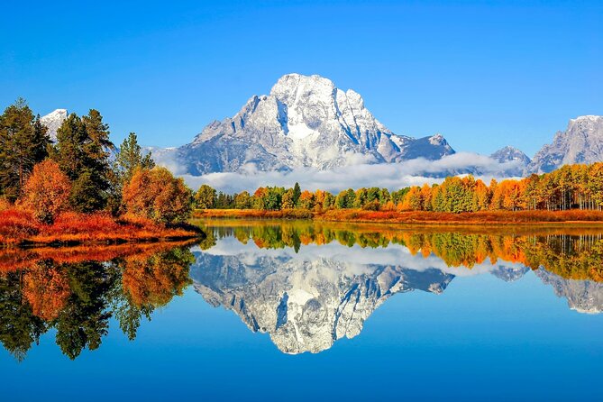 Yellowstone and Grand Teton 5 Day Tour Review
