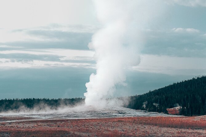 Yellowstone Full Day Small Group Tour Review