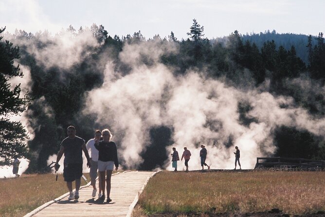 Yellowstone Grand Tour: See All Yellowstone In One Day