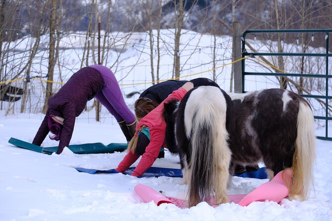 Yoga With Horses