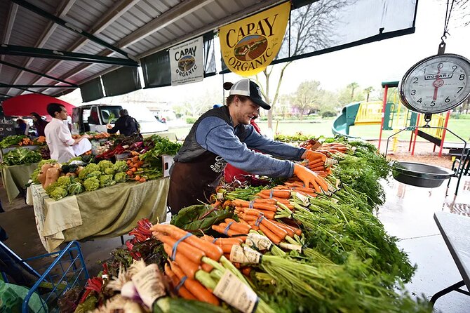 Yolo County Explorer: Culinary & Cultural Tour Review