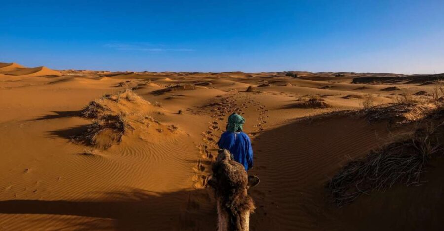 Zagora Desert Adventure
