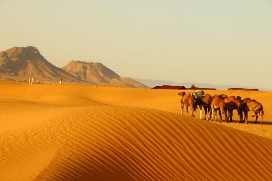 Zagora: Overnight in Luxury Desert Camp With Camel Ride,