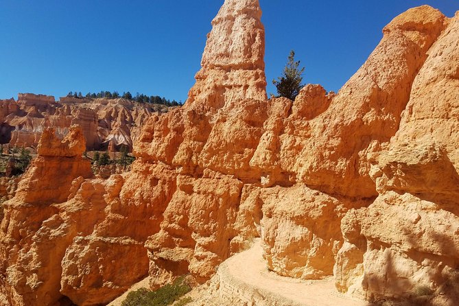 Zion and Bryce Canyon Small Group Tour From Las Vegas