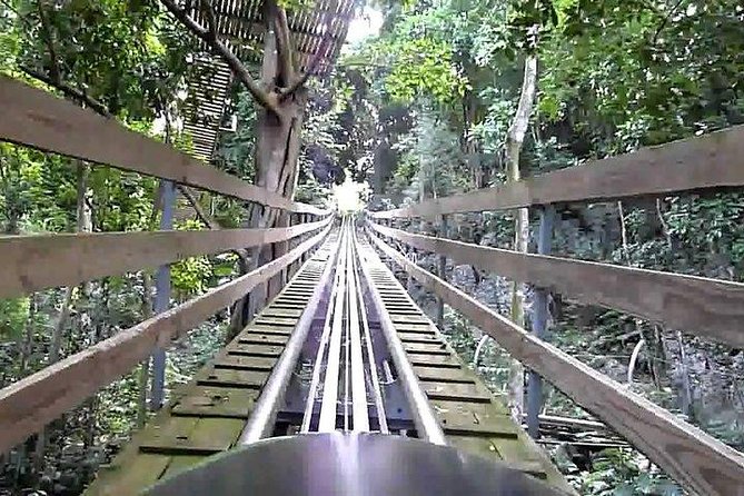 Zipline, Bobsled – Dunns River – Bob Marley From Ocho Rios