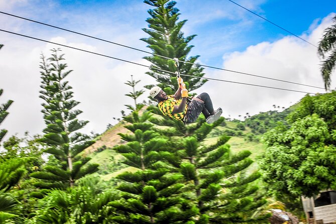 Ziplining in YS Falls and Black River Safari Private Tour - Tour Overview