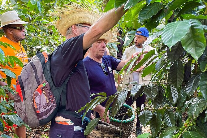 2-Day All-Inclusive Package Along the Coffee Route in the South - Key Points