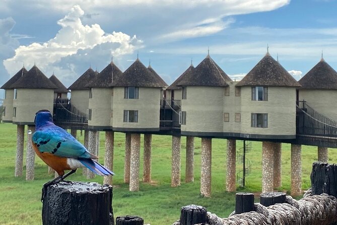 2-Day Private Tour Tsavo East and West From Diani Beach - Key Points