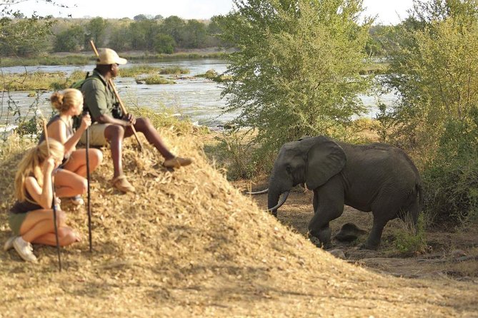 2 Days Morogoro- Selous Game Reserve(Nyerere National Park) - Selous Game Reserve Overview