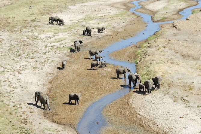 2-Days Safari Tour in Tarangire & Ngorongoro Crater - Overview of the Safari Tour