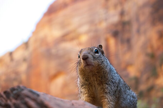 2 Days Zion and Bryce Canyon Tour Review - Tour Highlights
