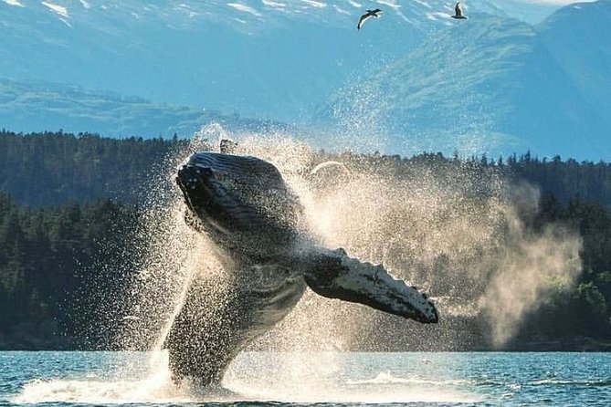 2 Hour Custom, Private, Group Charter - About Your Stay