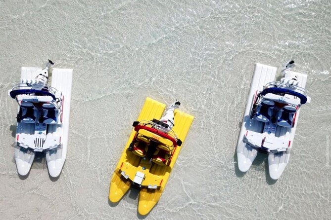 2 Hour Key West Mini Catamaran Tour Review - Good To Know