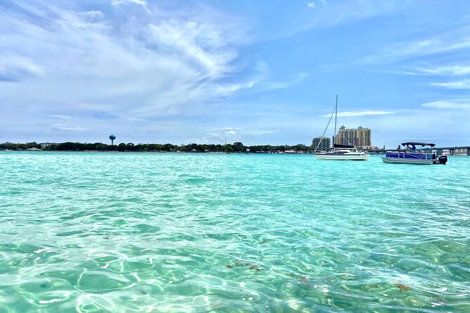 2 Hours Guided Afternoon Dolphin Tour Review - Good To Know